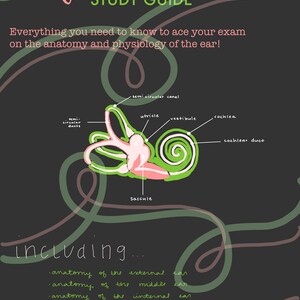 Anatomy & Physiology of the Ear Study Guide, Nursing School, Anatomy and Physiology