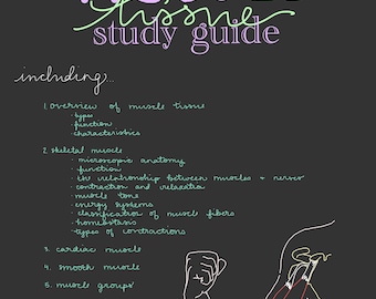 Muscle Tissue Study Guide, Anatomy & Physiology, Nursing School Materials