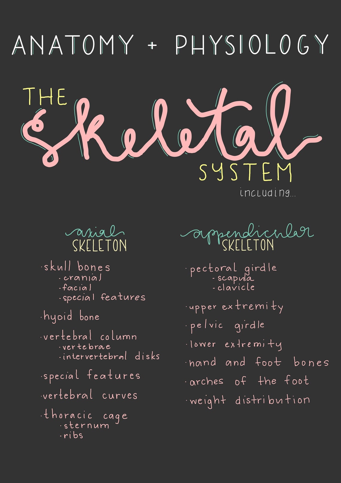The Skeletal System Study Guide Anatomy & Physiology Nursing | Etsy