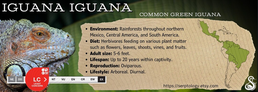 Green Iguana Terrarium/vivarium Label - Etsy