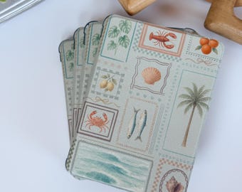 Coastal Kindle Case | Clear-Back Flip Cover for Kindle Paperwhite, Colorsoft & Basic | Reader Gift