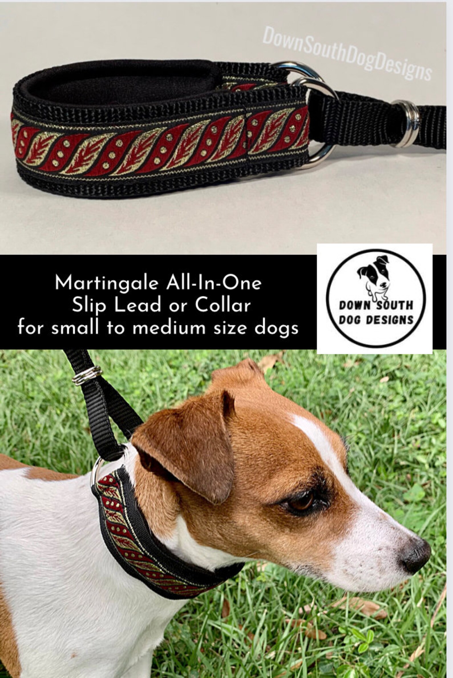 Dog Martingale Leash or Collar red Gold Leaf Dog Leash, Dog Lead, Dog