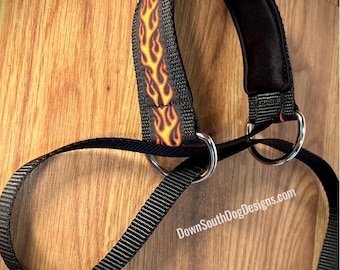 Quick Release Lead with Padded Neck for Dogs, “Flame”, Fast CAT, Lure Coursing Slip Leash, Dog Sports Lead, All-In-One Slip Lead