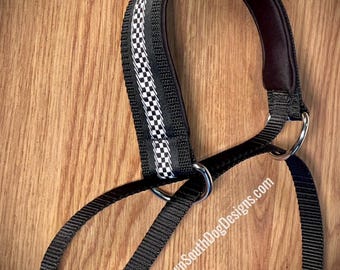 Quick Release Lead with Padded Neck for Dogs, “Racing Black”, Fast CAT, Lure Coursing Slip Leash, Dog Sports Lead, All-In-One Slip Lead