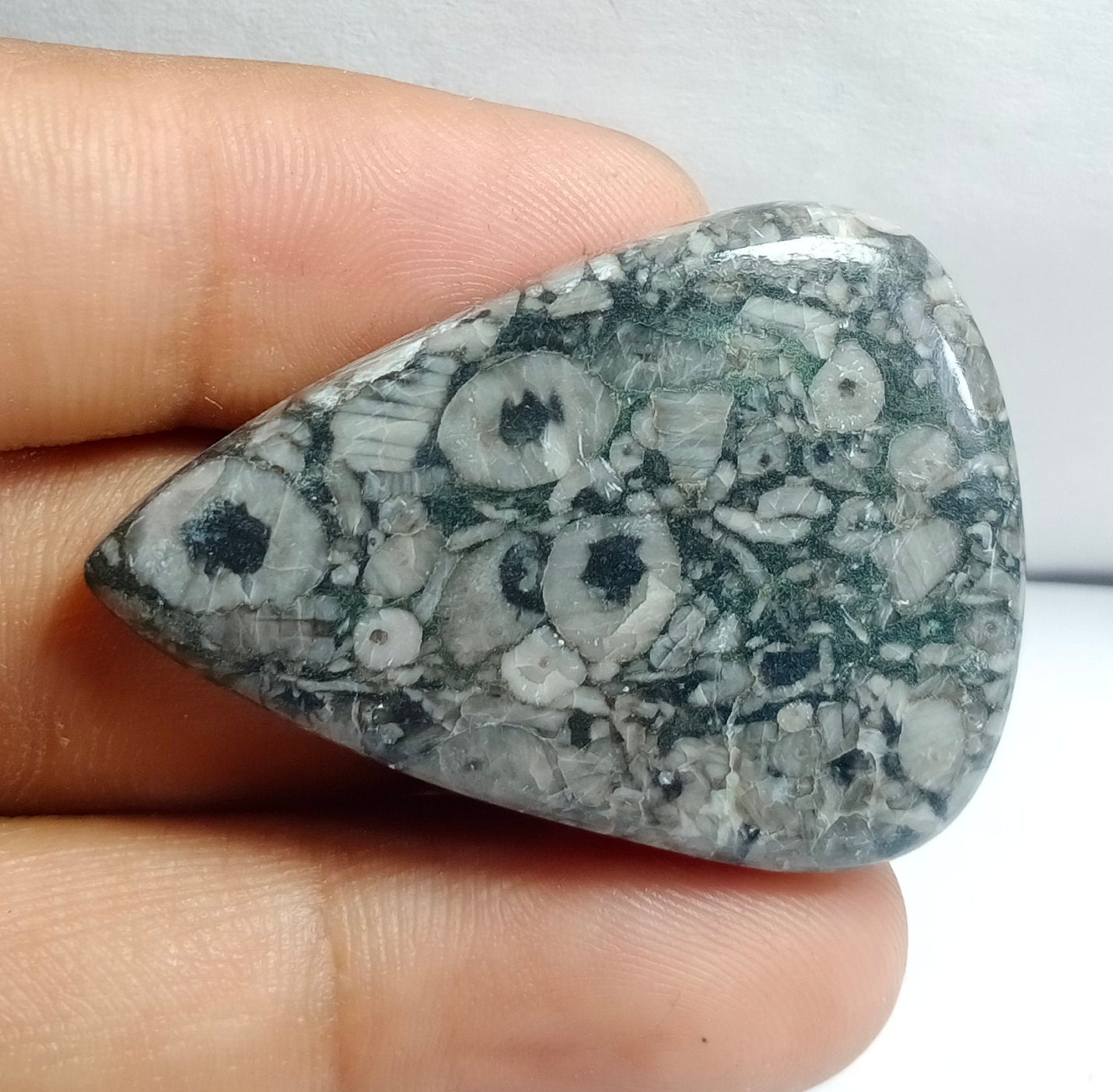 Royal Natural Shell Fossil Jasper Gemstone Top Quality Shell Etsy