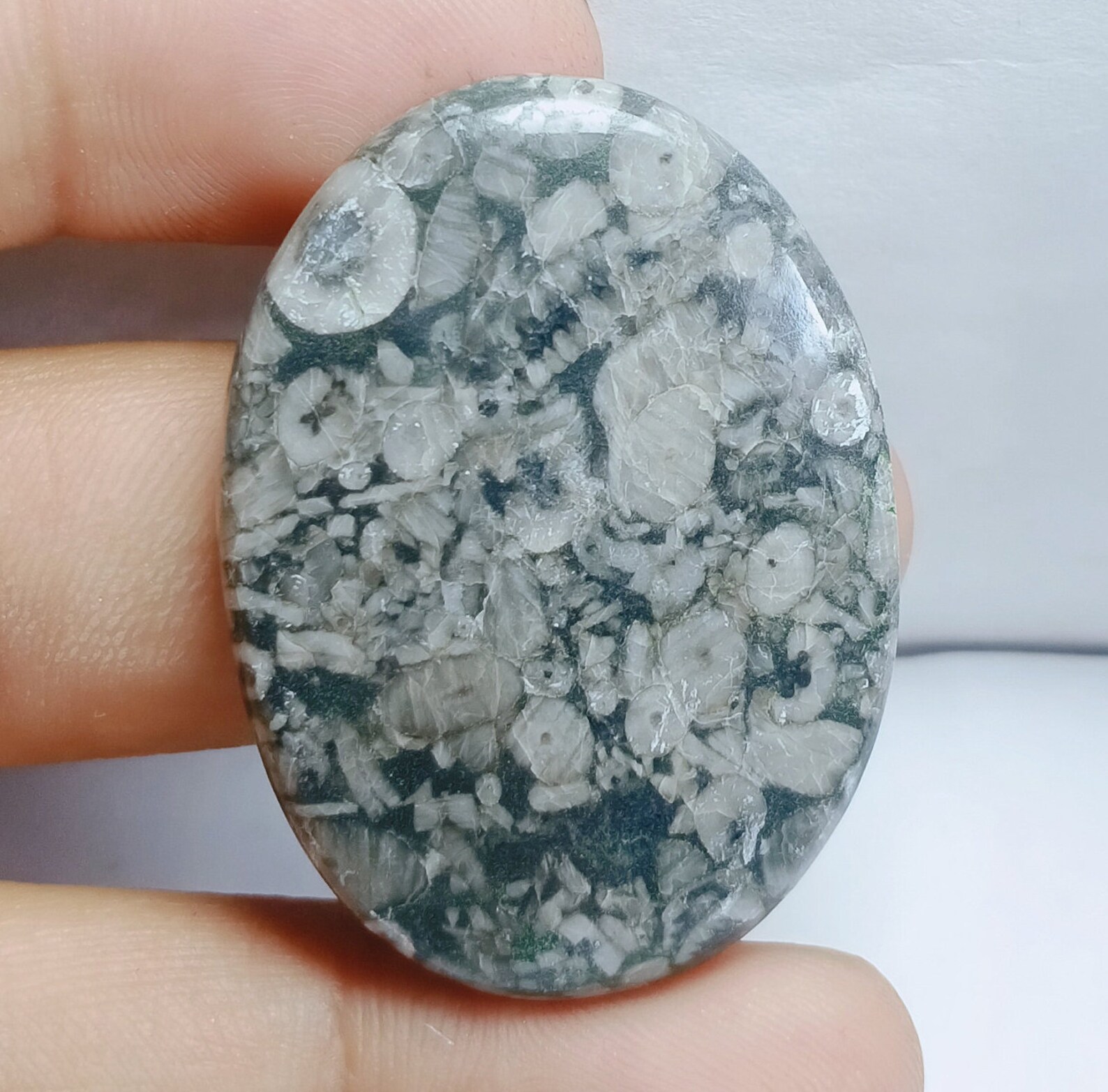 fossil jasper meaning