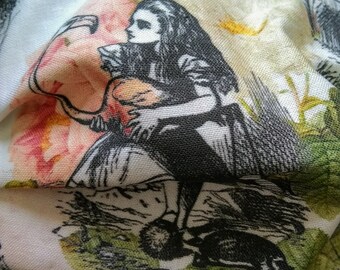 Alice in Wonderland with Roses
