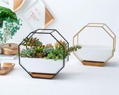 Black Metal Wall Planter Pot Succulent Ceramic White Mounted Wire Design Container Hanging Drainage Hole Bamboo Tray Saucer Geometric Modern