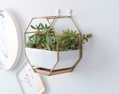 GOLD Metal Wall Planter Pot Succulent Ceramic White Mounted Wire Design Container Hanging Drainage Hole Bamboo Tray Saucer Geometric Modern
