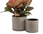 Set of 2 - Brown Diamond Pattern Ceramic Planter Pots Planters Plants Basket Vase Indoor Outdoor Garden Boho Bohemian Gray 6.5 5.5 inches