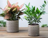 Set of 2 - Brown Diamond Pattern Ceramic Planter Pots Planters Plants Basket Vase Indoor Outdoor Garden Boho Bohemian Gray 6.5 5.5 inches