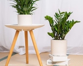Set of 2 - White Tan Diamond Pattern Ceramic Planter Pots Planters Plants Basket Vase Indoor Outdoor Garden Boho Bohemian 6.5 5.5 inches