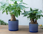 Set of 2 - BLUE Diamond Pattern Ceramic Planter Pots Planters Plants Basket Vase Indoor Outdoor Garden Boho Bohemian 6.5 5.5 inches