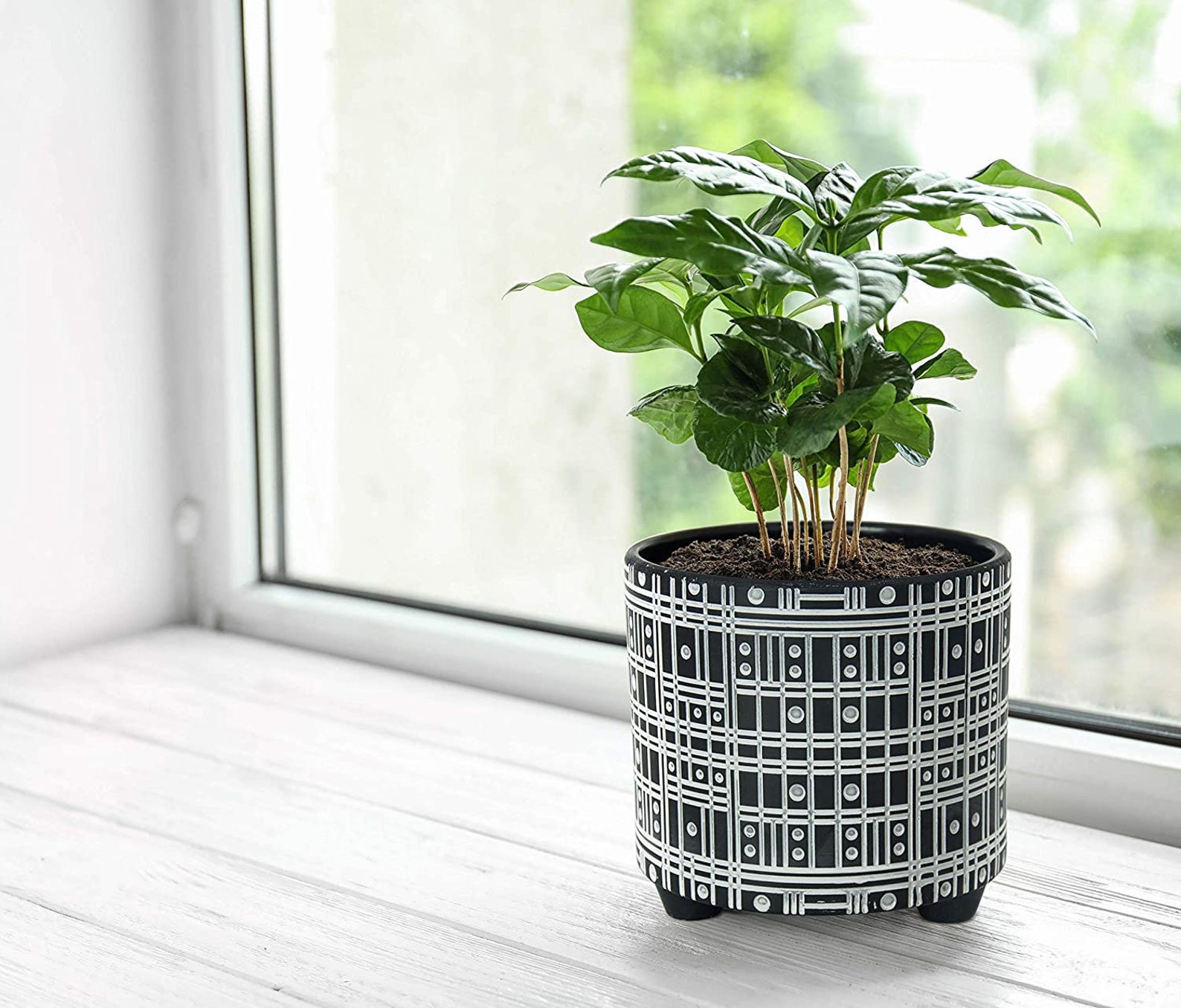 Set of 2 Black & White Ceramic Pot Plant Pots Planters Etsy