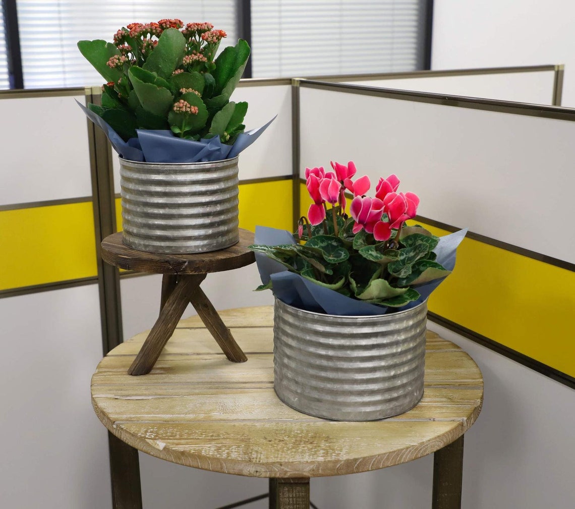 Set of 2 Galvanized Metal Wall Bucket Ribbed Planter Decor