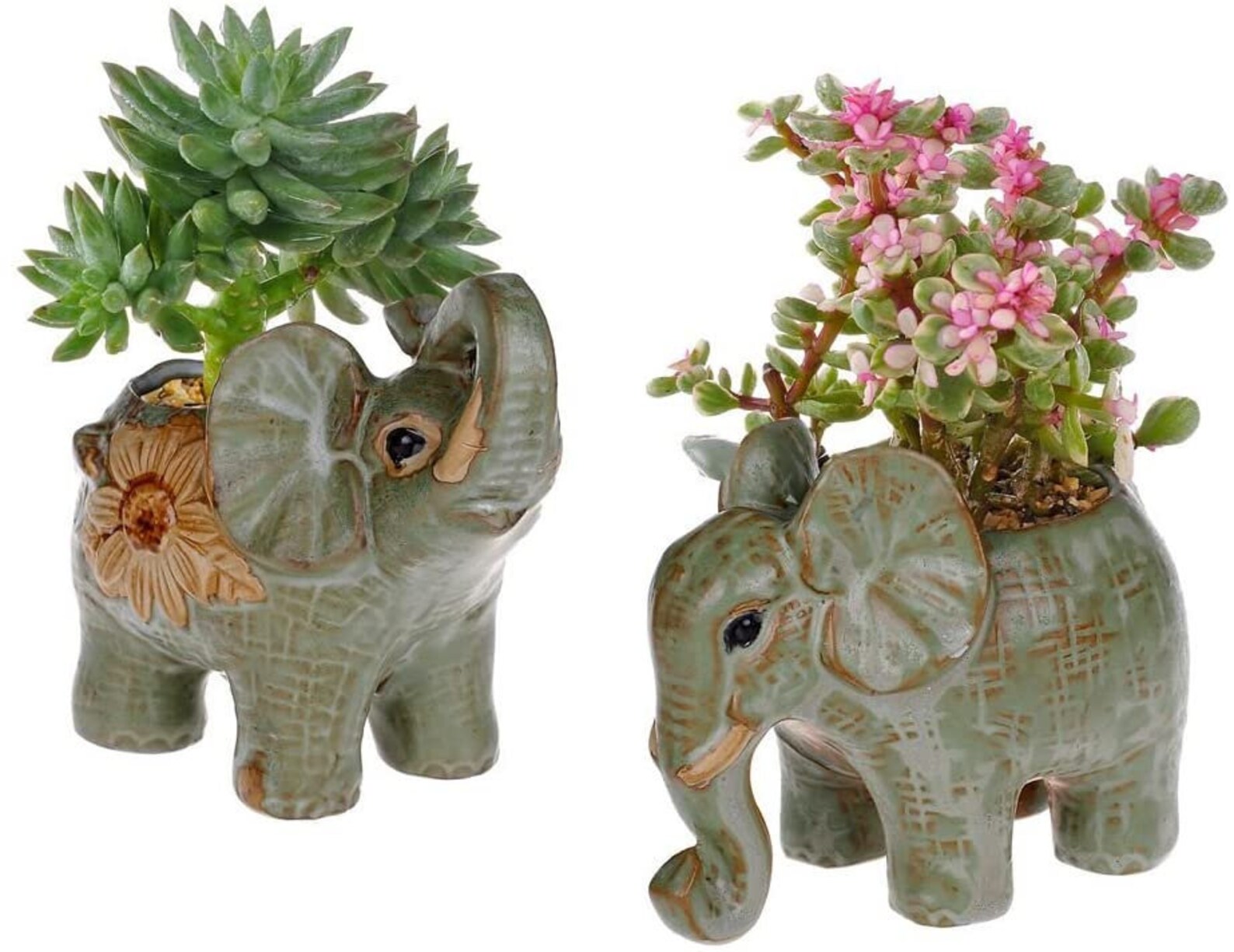 Set of 2 Elephant Ceramic Pots Plants Pot Planters Indoor Etsy