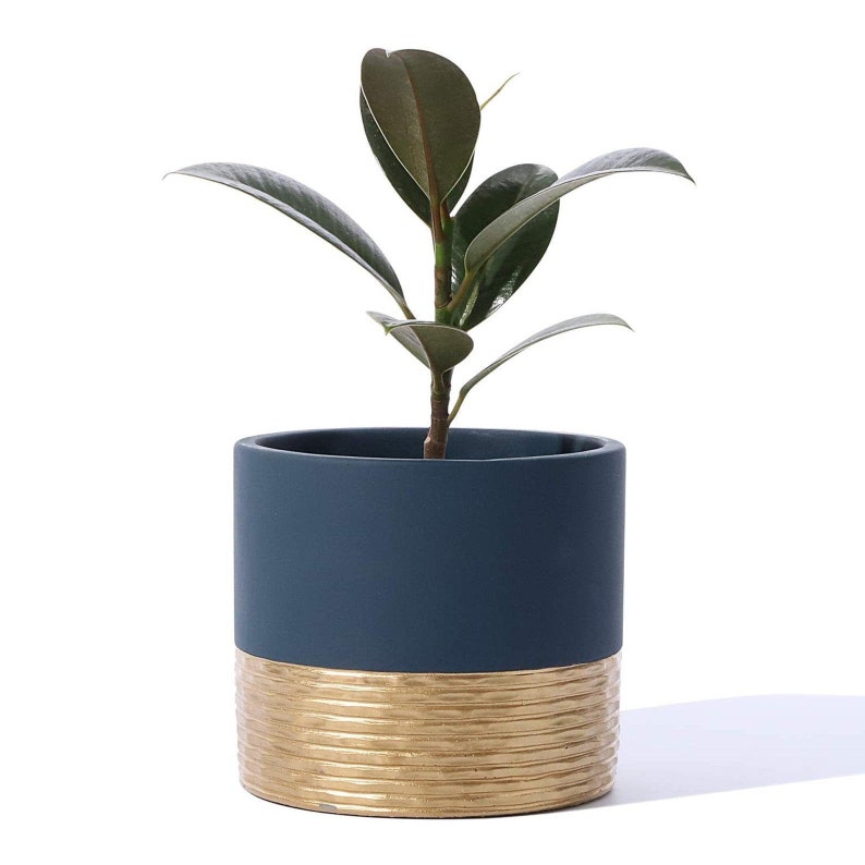 Navy Blue & Gold Cement Planter Plant Pot Plants Pots Planters Etsy