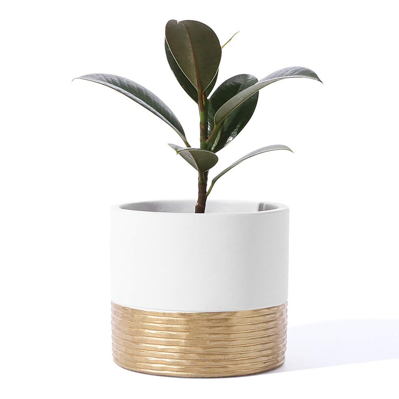 Plant Pot with Drainage hole Potey