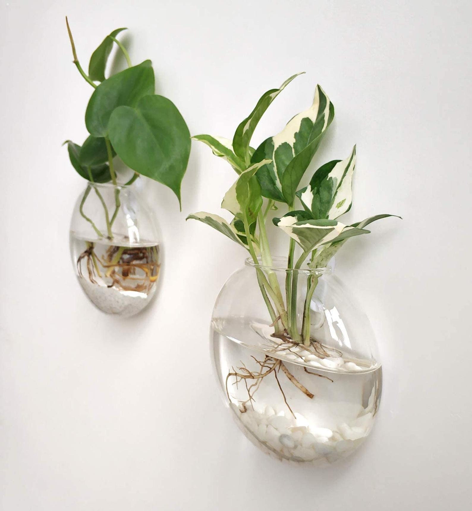 Glass Wall Hanging Planter Pots Pot Plants Planters Terrarium Etsy