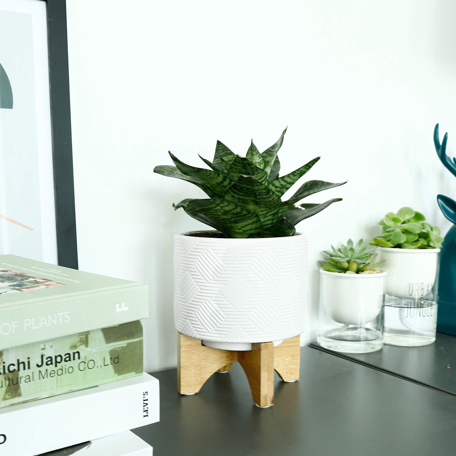5.2 Inch White Ceramic Plant Pot Arched Bamboo Stand Wood | Etsy