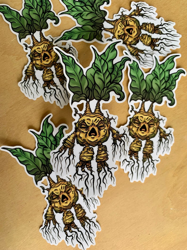 Mandrake Vinyl Sticker Decal, Screeching Witch Potato, Cadeaux pour les amoureux des plantes, Autocollants fantaisie image 3