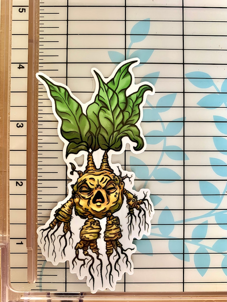 Mandrake Vinyl Sticker Decal, Screeching Witch Potato, Cadeaux pour les amoureux des plantes, Autocollants fantaisie image 4