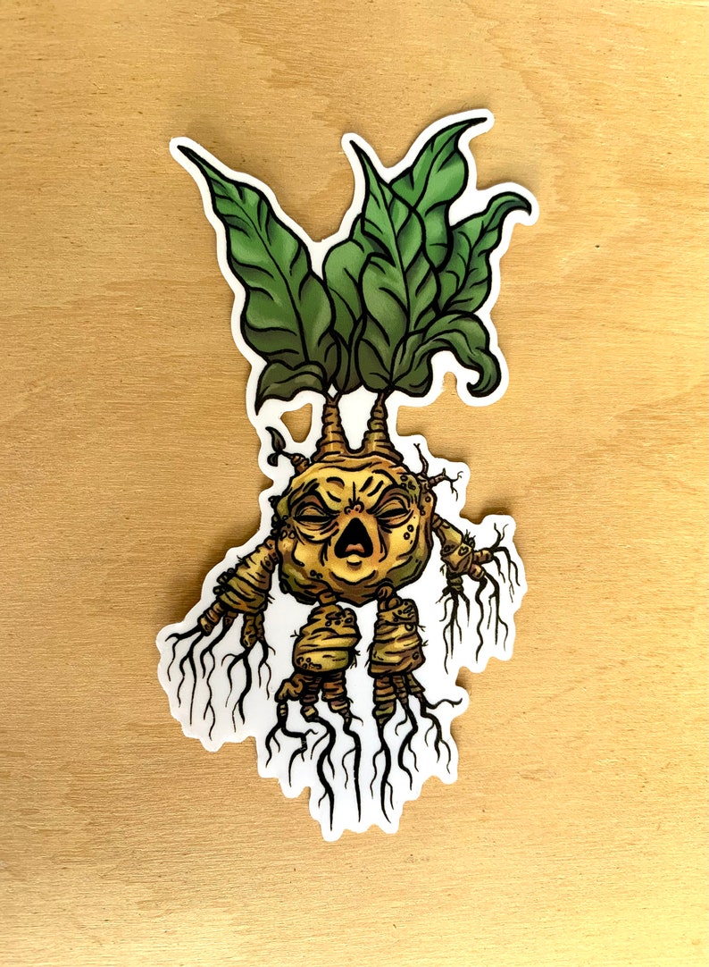 Mandrake Vinyl Sticker Decal, Screeching Witch Potato, Cadeaux pour les amoureux des plantes, Autocollants fantaisie image 2