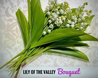 REAL Lily of the Valley Fresh Cut BOUQUET 15/ Flower Stems and Foliage USA. Free Priority Shipping! Nostalgic Sentimental Scented Gift.