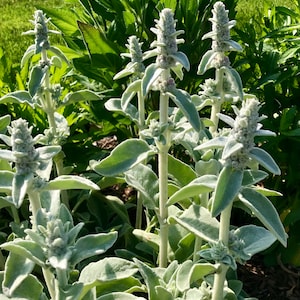Puede incluir: Un juego de tres tazas de cer&aacute;mica con un acabado moteado y mate. Las tazas son en tonos crema, gris claro y gris oscuro. Cada taza tiene un dise&ntilde;o simple y minimalista, ideal para caf&eacute; o t&eacute;.