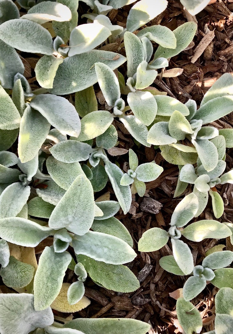 Puede incluir: Un juego de tres tazas de cer&aacute;mica con un acabado mate moteado. Las tazas son de color crema, gris claro y gris oscuro. Cada taza tiene un dise&ntilde;o simple y minimalista, ideal para caf&eacute; o t&eacute;.
