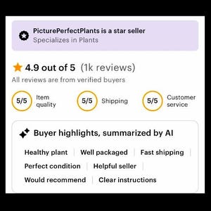 Op de afbeelding: Afbeelding van een Etsy shop review. PicturePerfectPlants, een topverkoper gespecialiseerd in planten. De shop heeft een beoordeling van 4,9 van de 5 sterren op basis van 1.000 beoordelingen. Kopers highlights zijn gezonde planten, goed verpakt en snelle verzending.