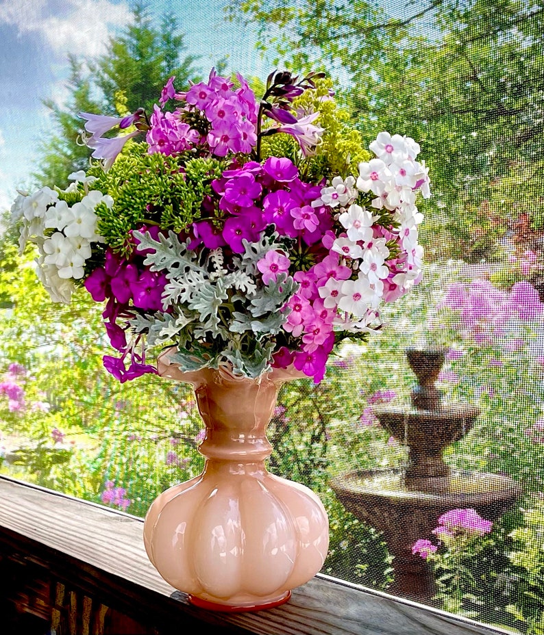 3/ Live Mixed Tall PHLOX Paniculata Bare Root Starter Plants. Bouquet Scent Summer USA Grower. Free Shipping Free Gifts image 4