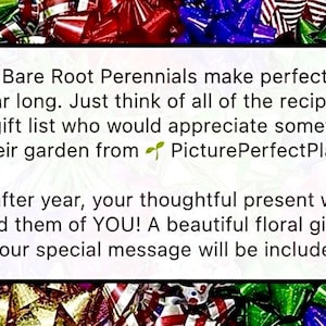 Op de afbeelding: Afbeelding met tekst: "My Bare Root Perennials maken perfecte cadeaus, het hele jaar door. Denk aan alle ontvangers op je cadeau lijst die iets voor hun tuin van PicturePerfectPlants! zouden waarderen." Kleurrijke strikken.