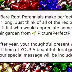 Puede incluir: Un letrero rectangular blanco con texto sobre plantas perennes de ra&iacute;z desnuda como regalos, rodeado de lazos de regalo coloridos. El texto menciona destinatarios, jardines y una tarjeta de regalo floral.