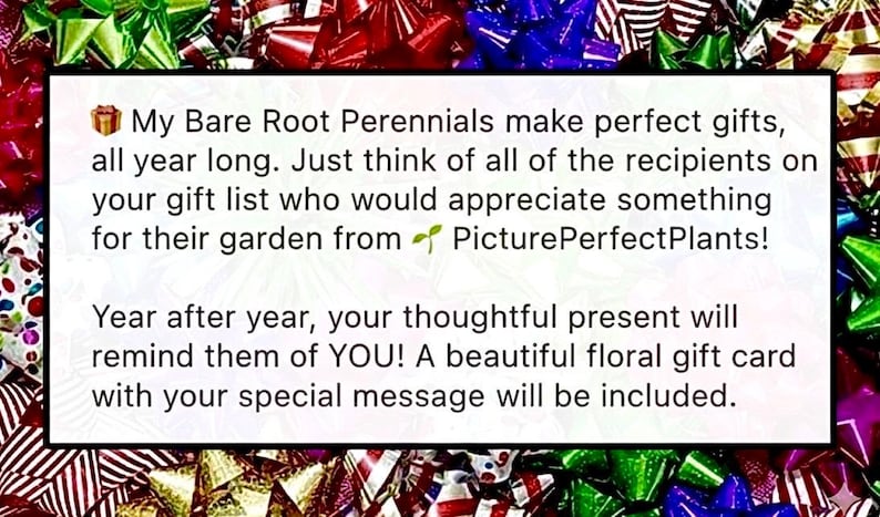 Puede incluir: Un letrero rectangular blanco con texto sobre plantas perennes de ra&iacute;z desnuda como regalos, rodeado de lazos de regalo coloridos. El texto menciona destinatarios, jardines y una tarjeta de regalo floral.