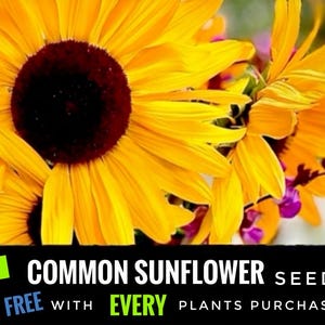 Puede incluir: Un letrero de madera r&uacute;stica con el texto "Welcome to our home" en letras blancas. El letrero presenta un acabado envejecido y un dise&ntilde;o simple y acogedor, ideal para un porche o entrada.