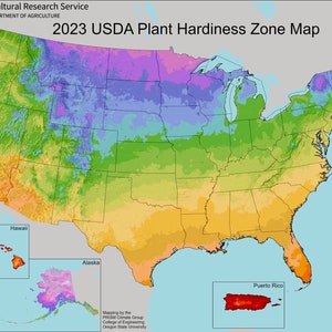 Puede incluir: Un juego de tres tazas de cer&aacute;mica con un acabado mate moteado. Las tazas son de color crema, marr&oacute;n claro y marr&oacute;n oscuro. Cada taza tiene un dise&ntilde;o simple y minimalista.