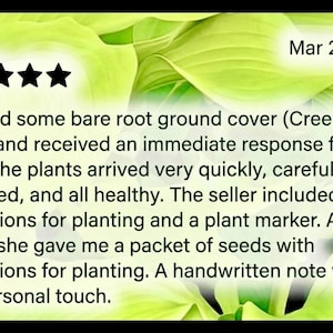Puede incluir: Una taza de cer&aacute;mica blanca con asa negra y el texto "But First, Coffee" en negrita negra. La taza se encuentra sobre un fondo borroso, sugiriendo un ambiente acogedor.