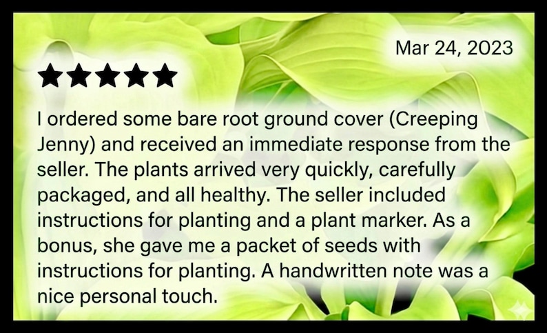 Puede incluir: Una taza de cer&aacute;mica blanca con asa negra y el texto "But First, Coffee" en negrita negra. La taza se encuentra sobre un fondo borroso, sugiriendo un ambiente acogedor.