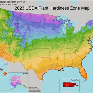 Op de afbeelding: Een kleurrijke kaart van de Verenigde Staten, getiteld "2023 USDA Plant Hardiness Zone Map". De kaart toont de USDA-plant hardheidszones met een kleurenspectrum dat de gemiddelde jaarlijkse extreme minimumtemperaturen weergeeft. Met legenda.