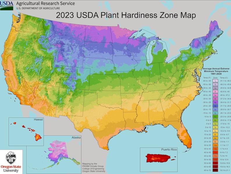 Op de afbeelding: Een kleurrijke kaart van de Verenigde Staten, getiteld "2023 USDA Plant Hardiness Zone Map". De kaart toont de USDA-plant hardheidszones met een kleurenspectrum dat de gemiddelde jaarlijkse extreme minimumtemperaturen weergeeft. Met legenda.
