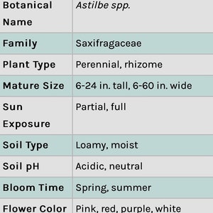 Op de afbeelding: Informatieve tabel met details over Astilbe-planten. Bevat gangbare en botanische namen, familie, planttype, volwassen grootte (15-61 cm hoog, 15-152 cm breed), blootstelling aan de zon, bodemtype, pH, bloeitijd, bloemkleuren en winterhardheidszones.