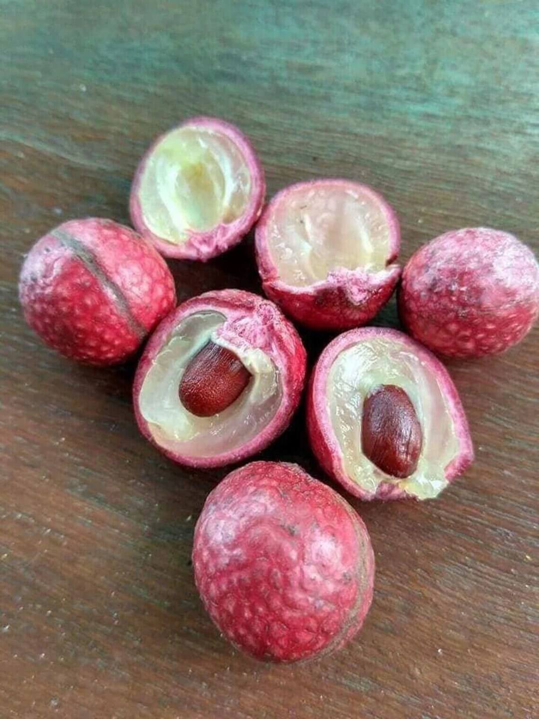 Grafted Red Ruby Longan Fruits Fruit Tree Retail / Wholesale Etsy