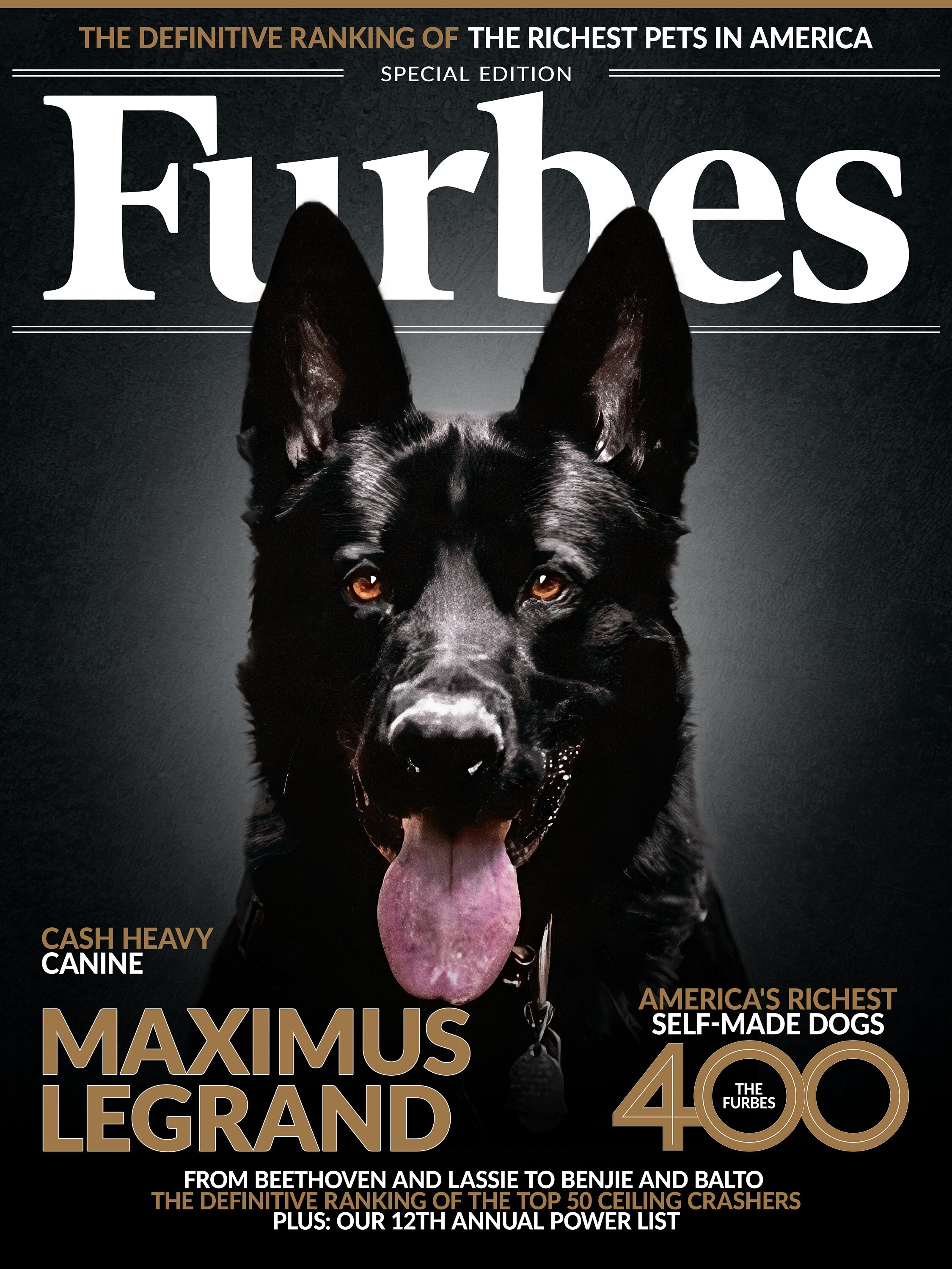 Personalized Dog Prints Magazine Covers Pet Portraits Etsy Canada