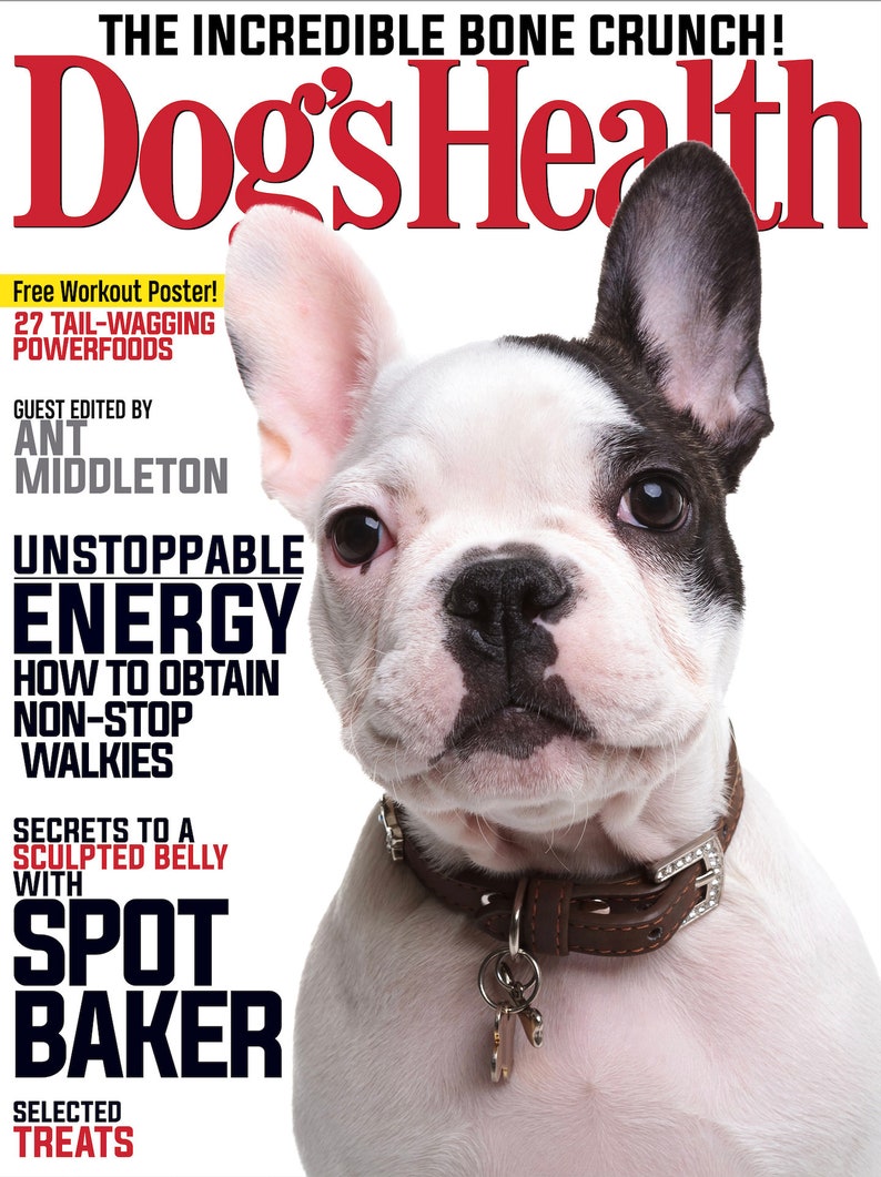 Personalized Dog Prints Magazine Covers Pet Portraits Etsy