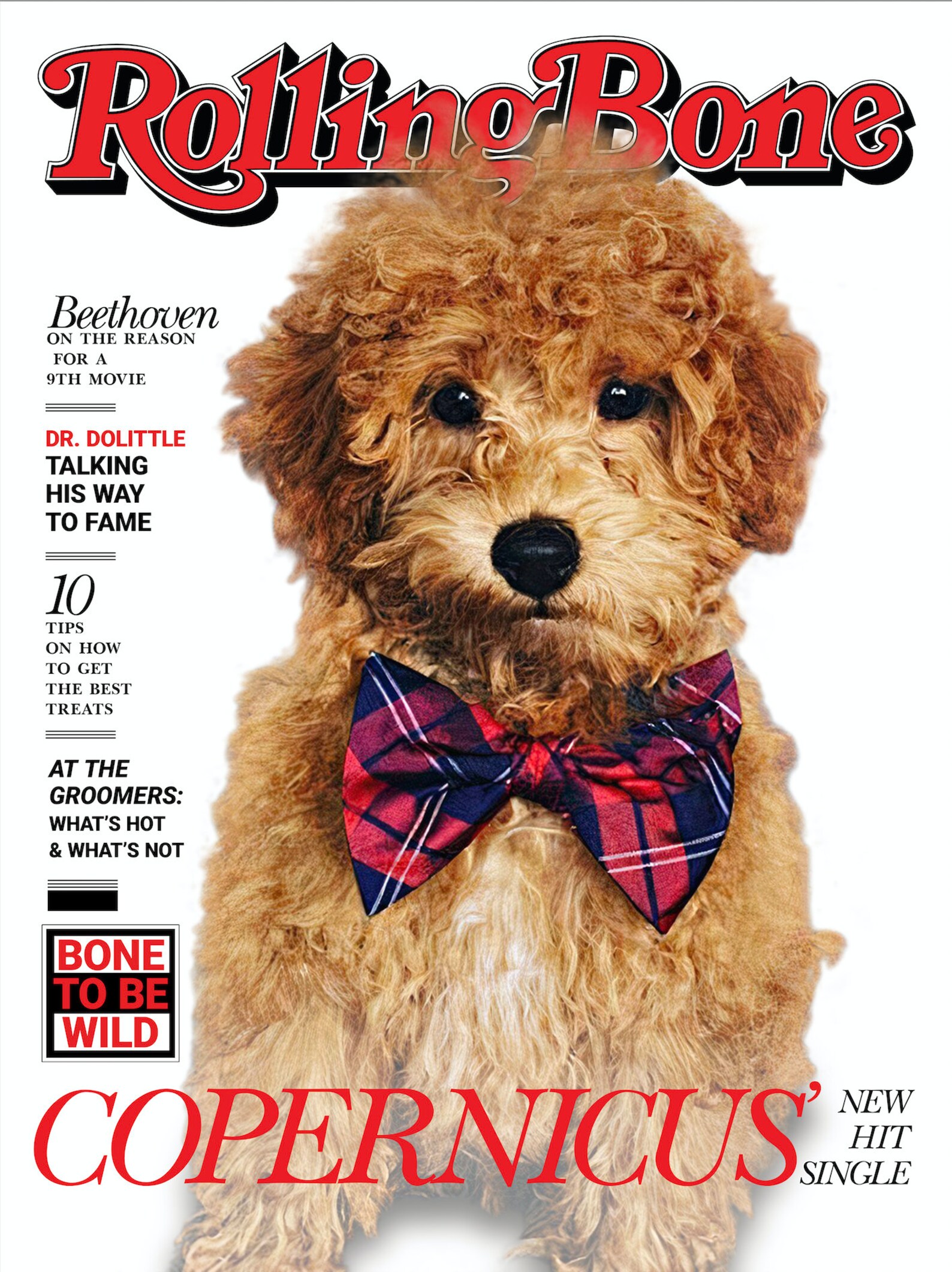Digital File Magazine Covers Pet Portraits Custom Pet Etsy