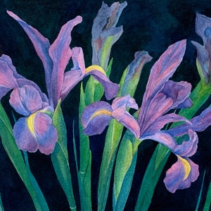 Night Irises, Original Watercolor Painting, flowers, 9x12 inches
