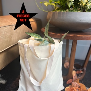 May include: A set of three off-white canvas tote bags with black handles. The bags are sitting on a brown and white fuzzy rug. A black star with the text "3 PIECES SET" is in the background.