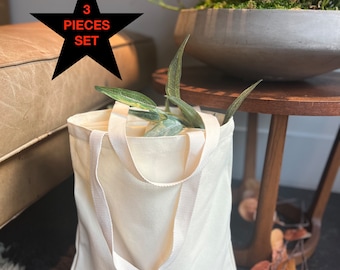 Cream Cotton Canvas Tote Bag Set: Durable Beige Craft Bags (3 Unit)