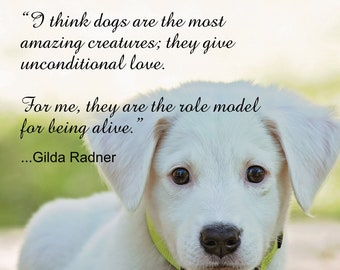 Dogs Unconditional Love Quote Wall Art - Etsy Dogs Unconditional Love Quote Wall Art - Etsy